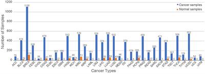 Classification of Cancer Types Using Graph Convolutional Neural Networks